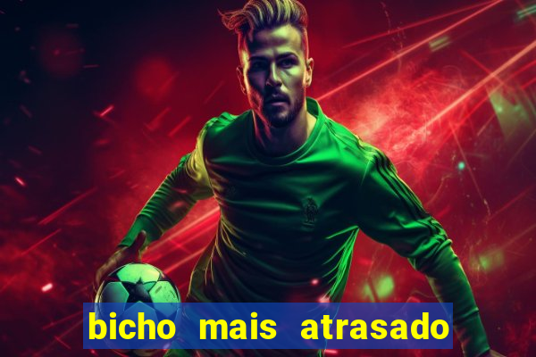 bicho mais atrasado na bahia